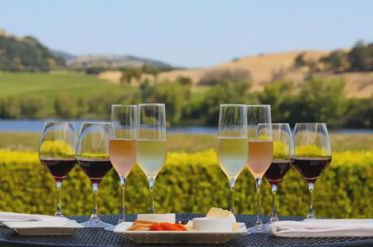 Best Athens Wine Tasting Tours in 2026 (6 Local Experiences Reviewed)